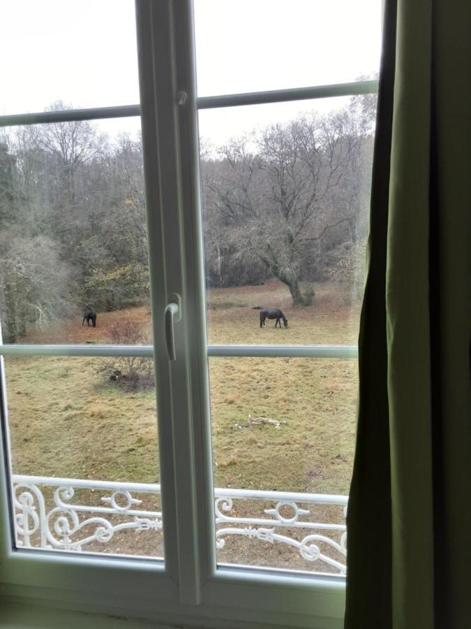 ホテルChateau De La Touche Proche Poitiers Savigny-Lévescault エクステリア 写真