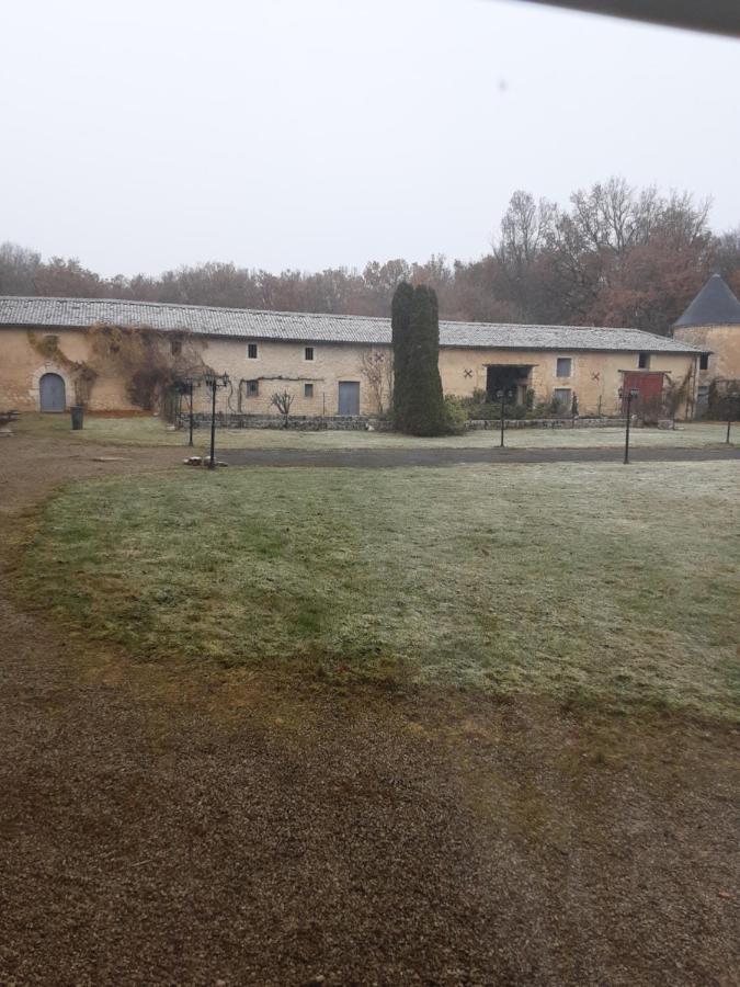 ホテルChateau De La Touche Proche Poitiers Savigny-Lévescault エクステリア 写真